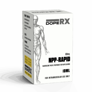 NPP RAPID
